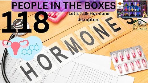 People In The Boxes ep 118, What Common Products Are Doing This? Let's Talk Hormone Disrupters