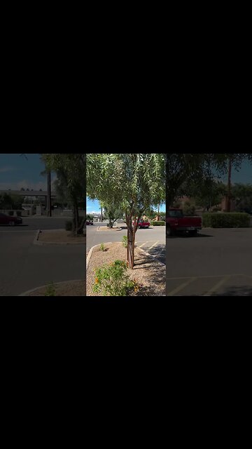 Free phones for the homeless