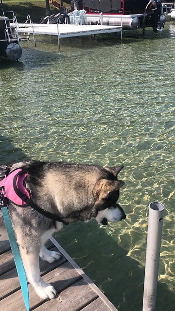 Wednesday August 14, To honor their idols made of gold, silver, bronze, iron, wood, and stone.