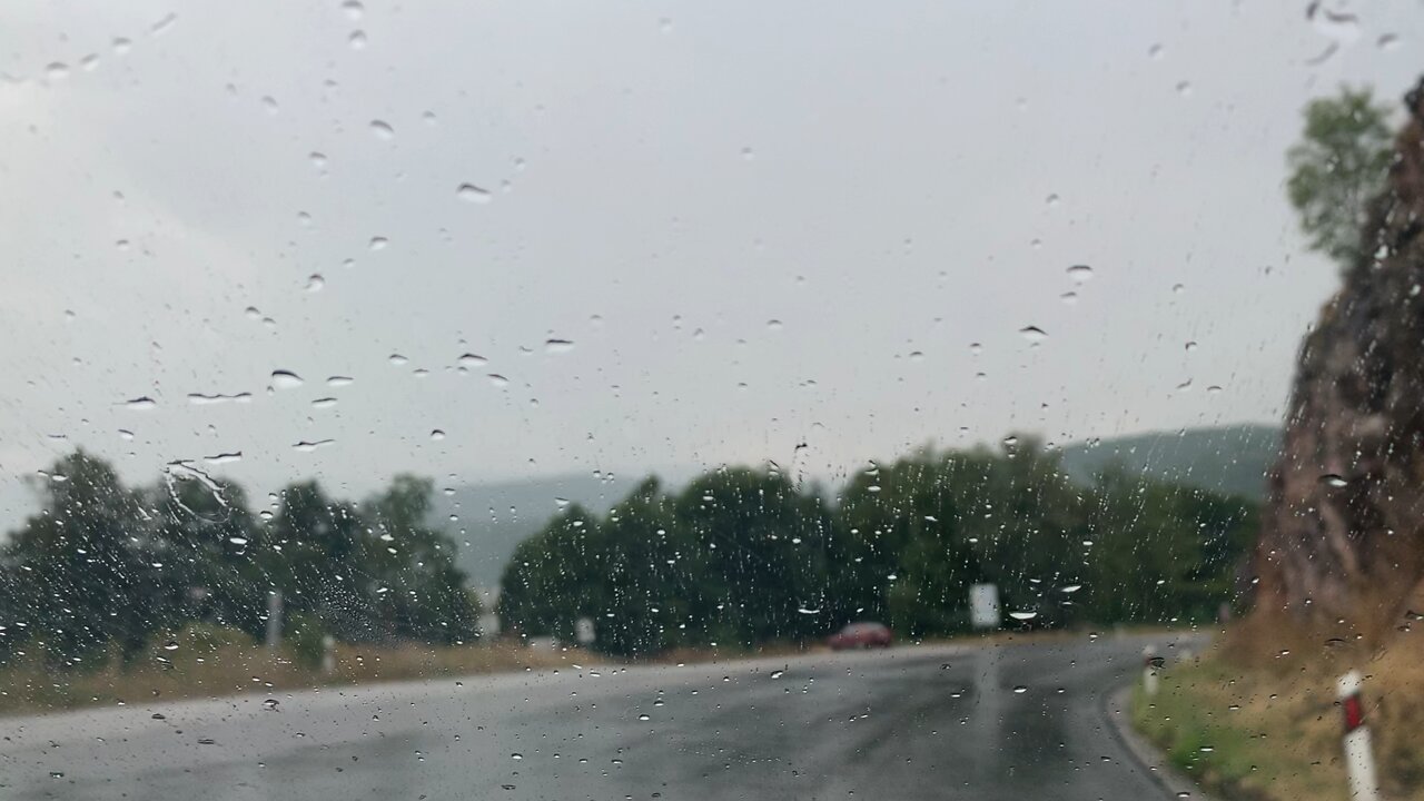 Heading to barbecue spot