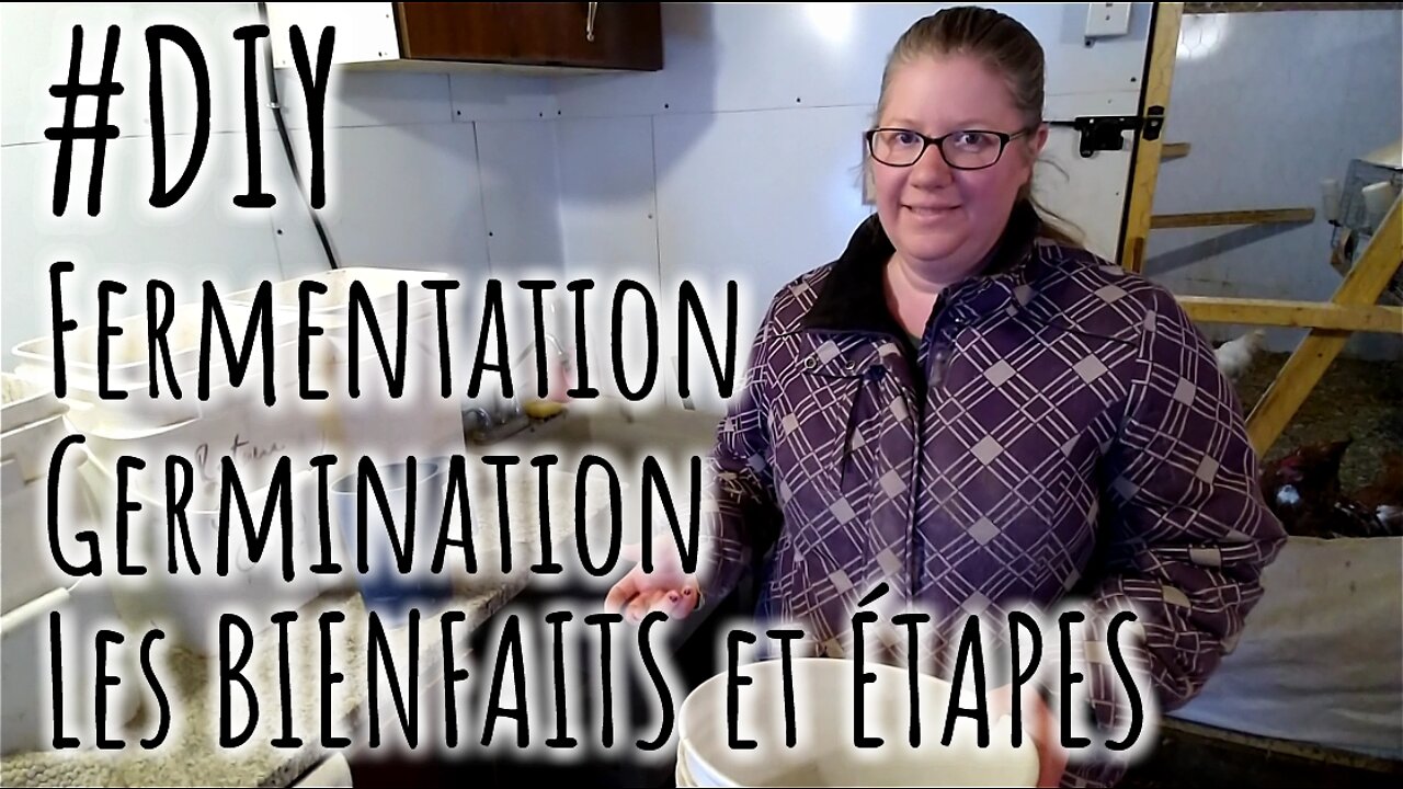 🐓 #DIY - FERMENTATION pour les POULES - BIENFAITS et ÉTAPES #209