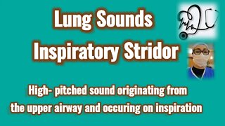 Lung Sounds- Inspiratory Stridor/Respiratory Therapist