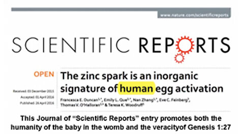 The Zinc Spark Is an Inorganic Signature Of Human Egg Activation