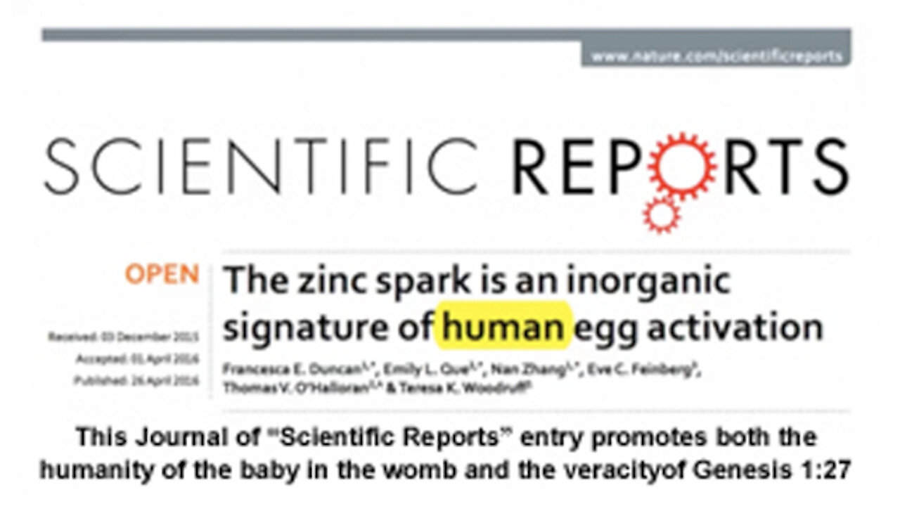 The Zinc Spark Is an Inorganic Signature Of Human Egg Activation