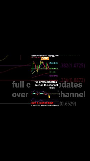 BONE price targets!? 👀💎🙌