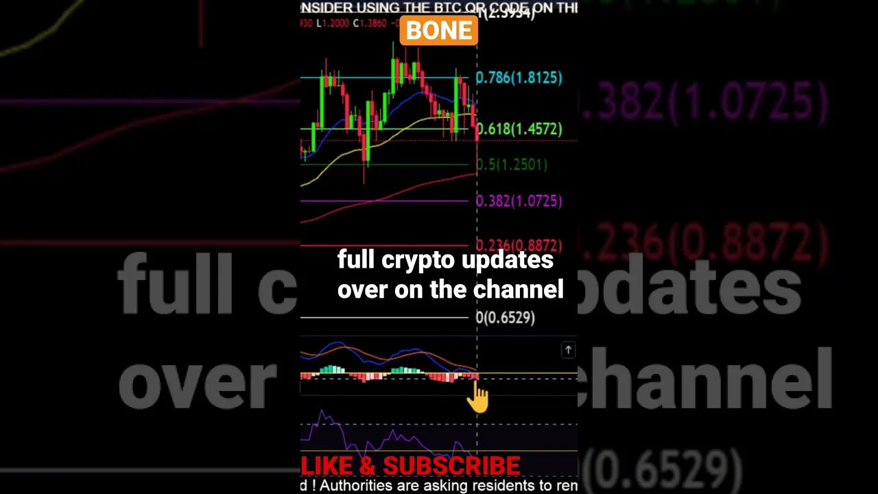 BONE price targets!? 👀💎🙌
