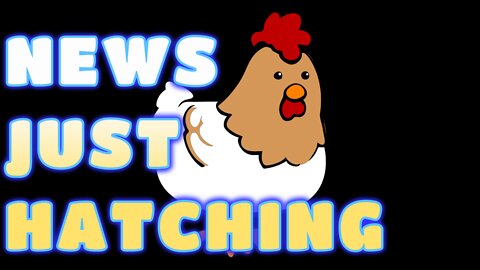 News Just Hatching!