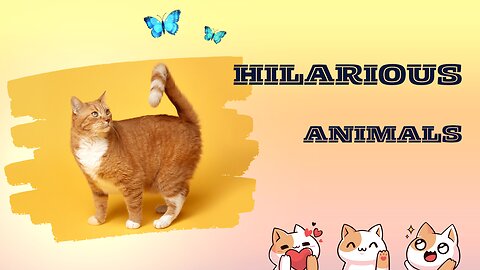 The funniest animals on earth