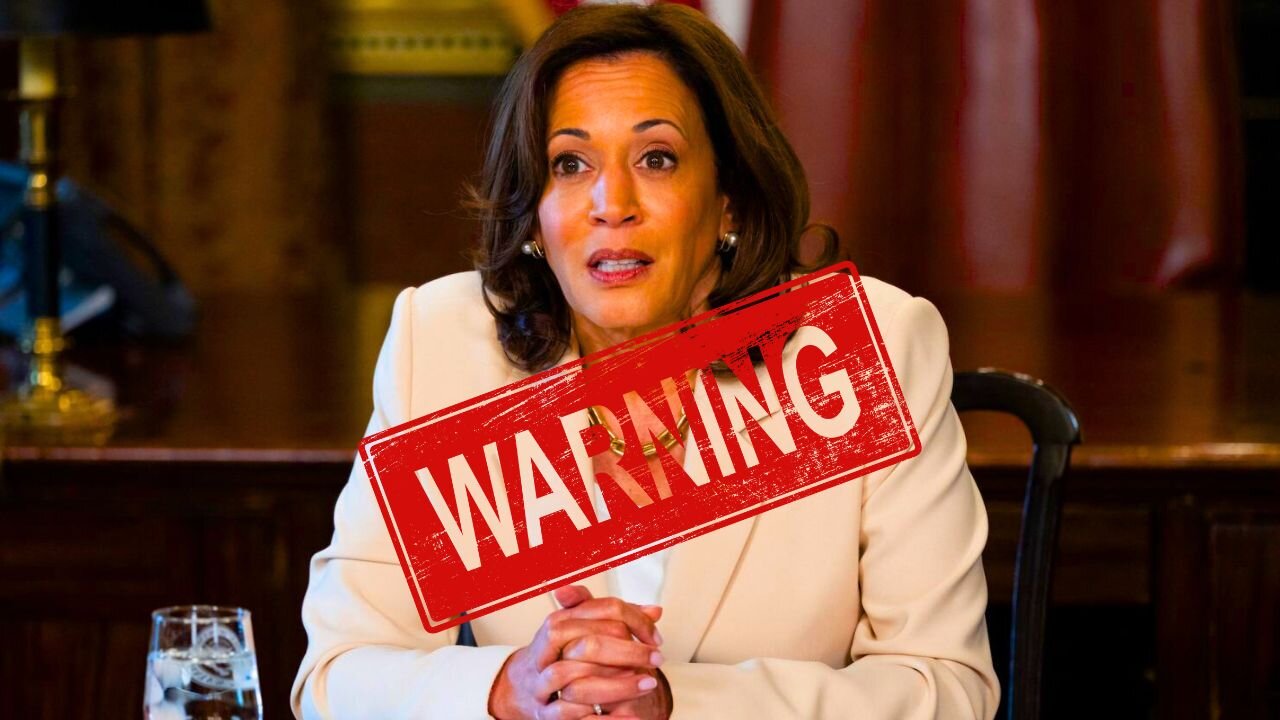 Kamala Harris Will STEAL The Election with Digital Mercenaries