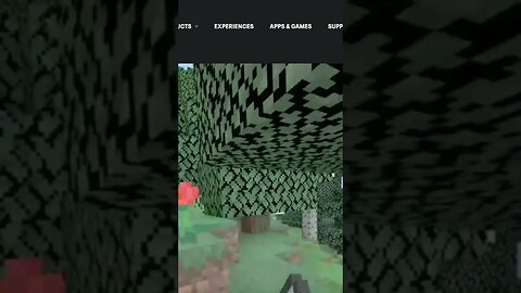 Minecraft buts its vr #short #minecraft #hardcore #meme #tiktok #subscribe #now