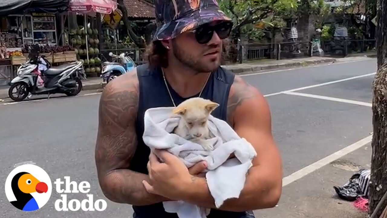 Tiny Puppy Thrown Out Like Trash Can't Stop Kissing Her New Sisters - The Dodo