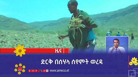 ድርቅ በሰሃላ ሰየምት ወረዳ