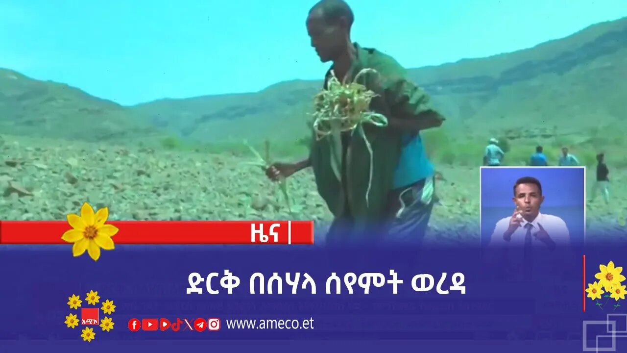 ድርቅ በሰሃላ ሰየምት ወረዳ