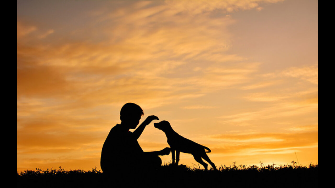 Best Man's friend 🐕🐕