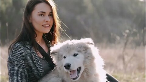 This is Best Youtube Pets/Animals Video! part two! #CuteDogs#youTubePets#animals