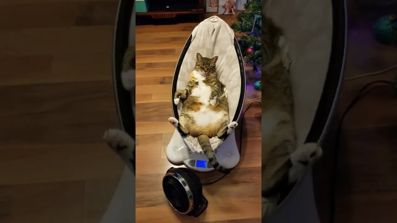 This was supposed to be for our newborn