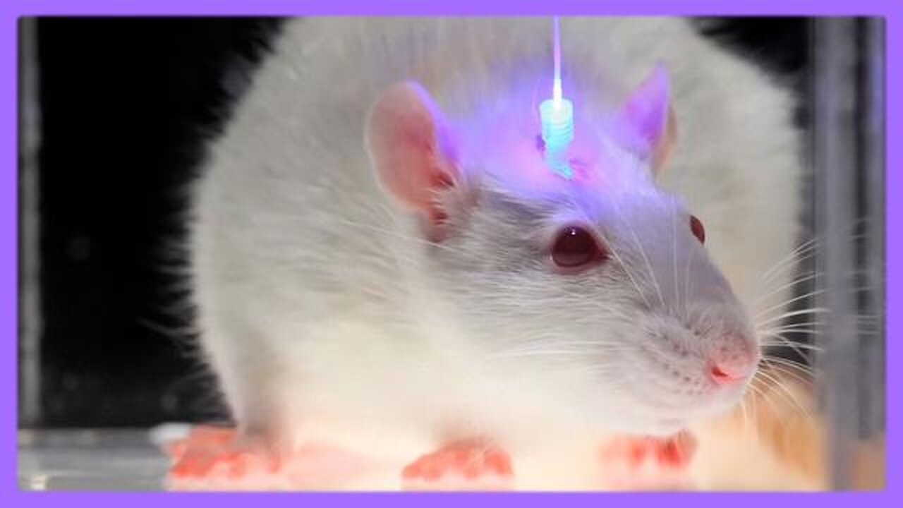 Optogenetics and the Secret Worldwide Nanotech Experiment - Greg Reese