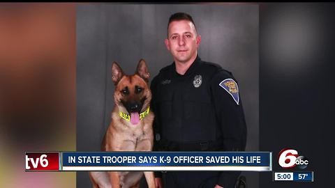 State trooper says K9 officer saved his life following Indianapolis shooting