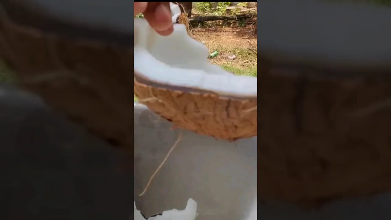 The Most Refreshing Coconuts In Jamaica | #asmr #jamaica #coconut #Island 🥥🌴