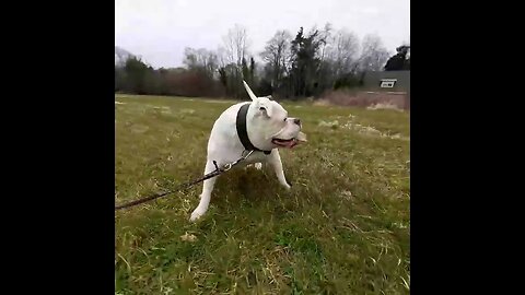 even een korte wandeling