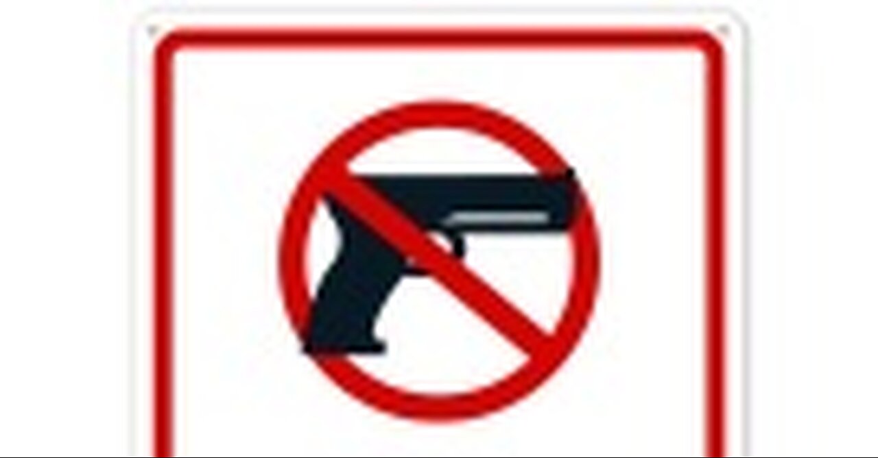 New gun control laws passing in Michigan