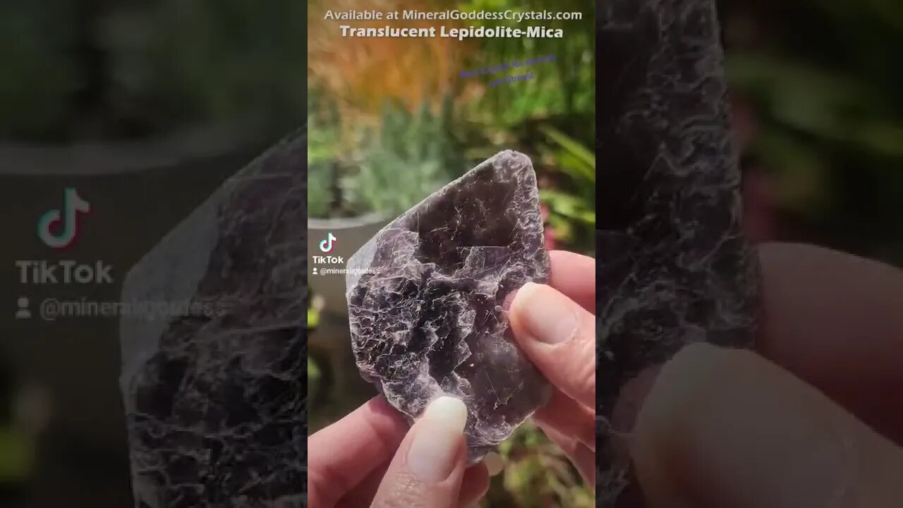 Best Crystals for Anxiety Stress Mineral Goddess Crystals Lepidolite Mica Lepidolite Slabs Mica Book