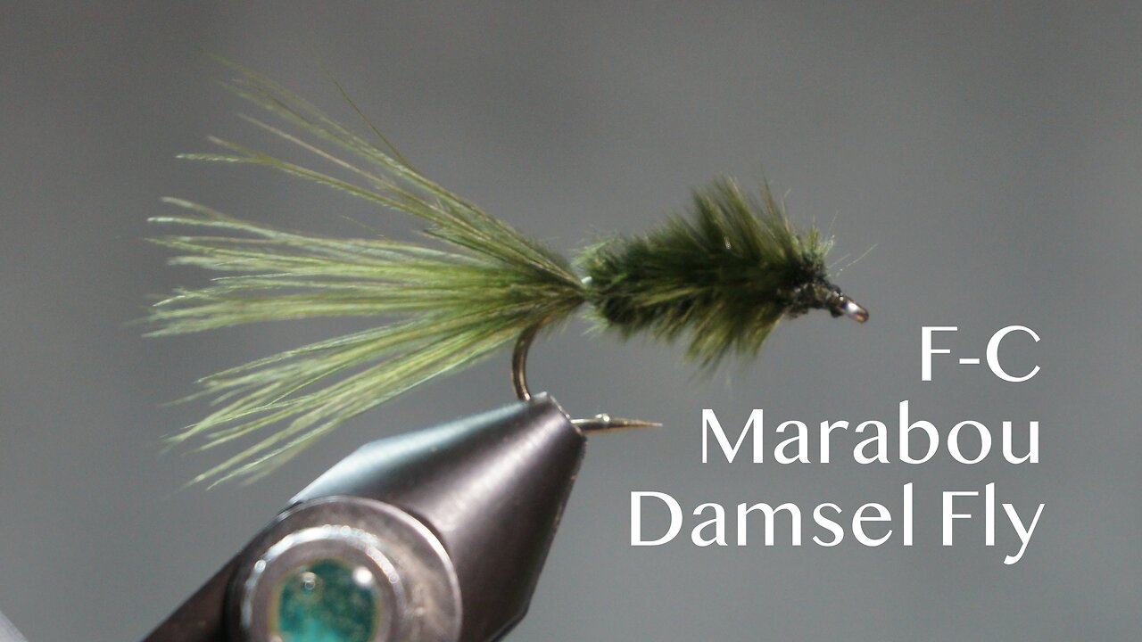 F-C Marabou Damsel Fly