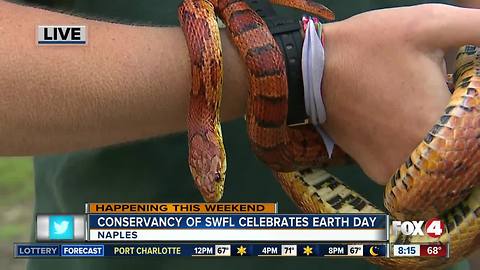 Celebrate Earth Day at the Conservancy of Southwest Florida - 8am live report