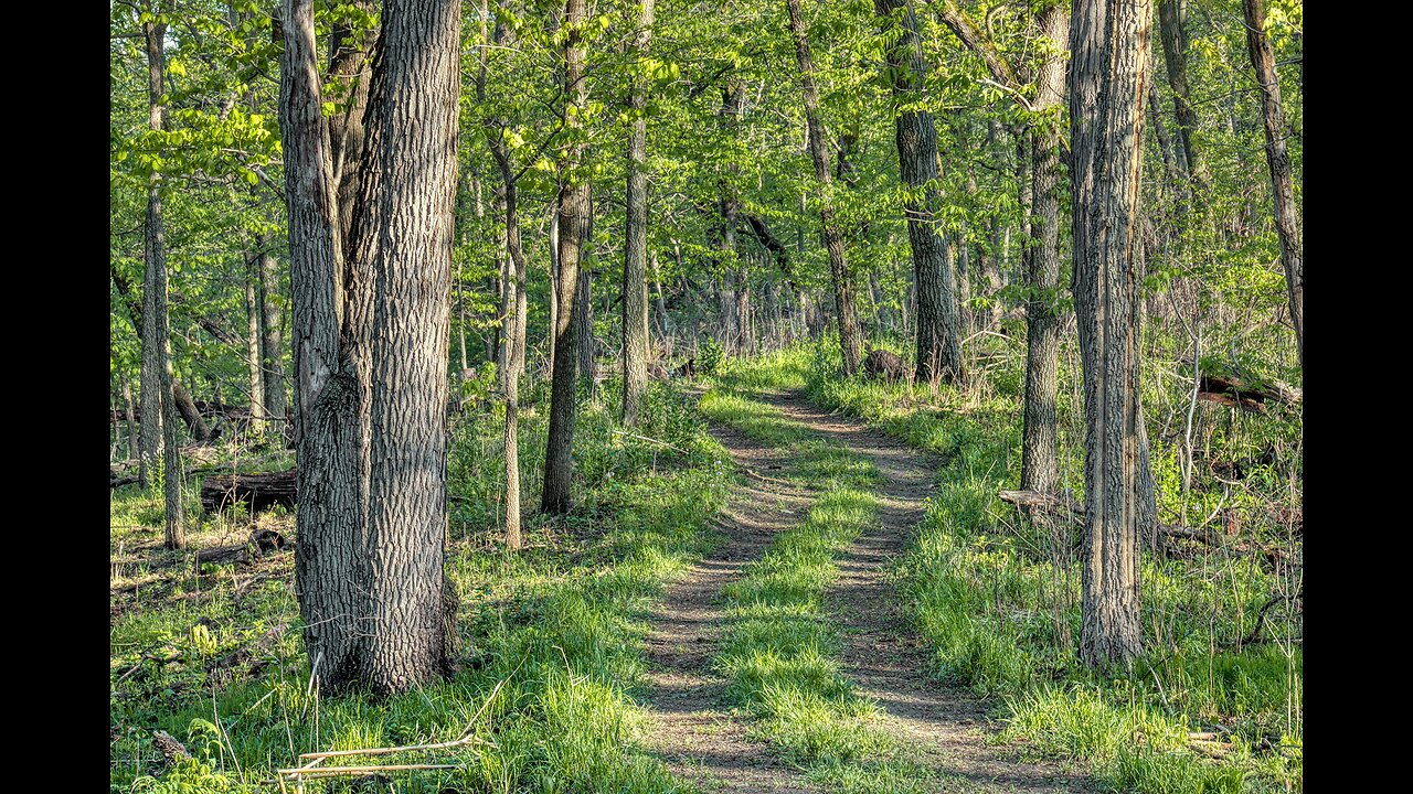 Find Peace in God Through Nature Photography