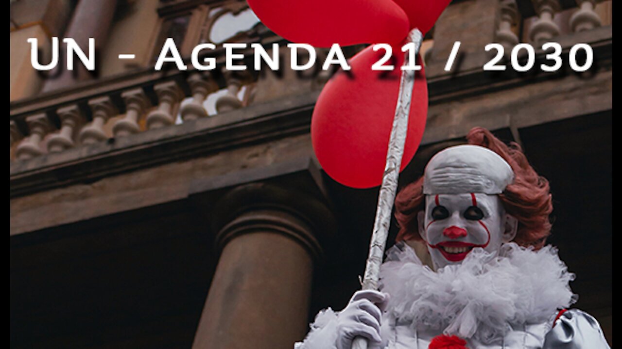 Goals of UN Agenda 21/2030 in 5 minutes