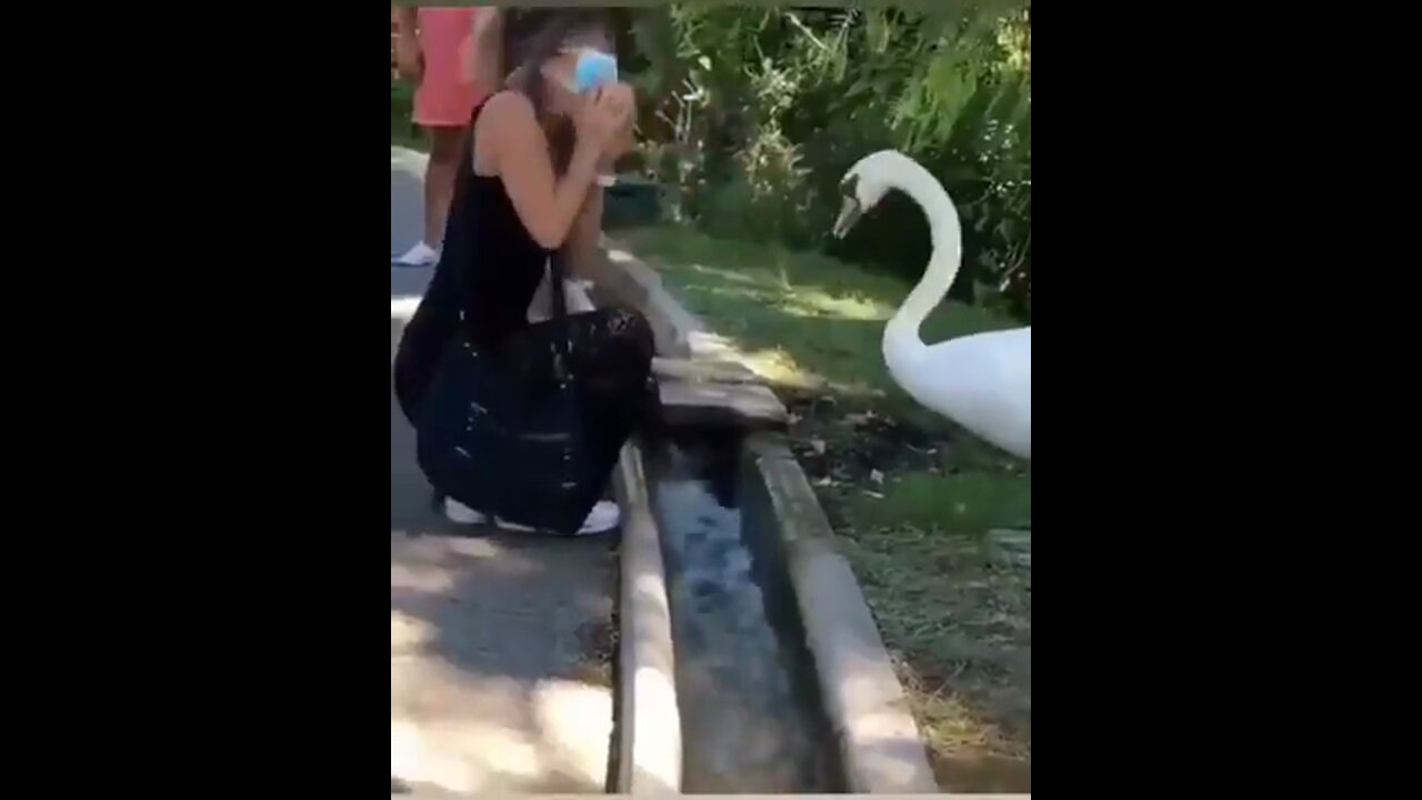 Swan insists you wear a mask