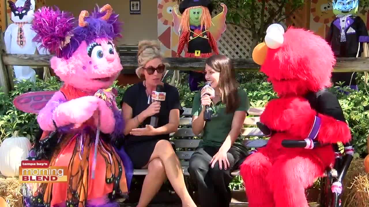 Busch Gardens | Morning Blend