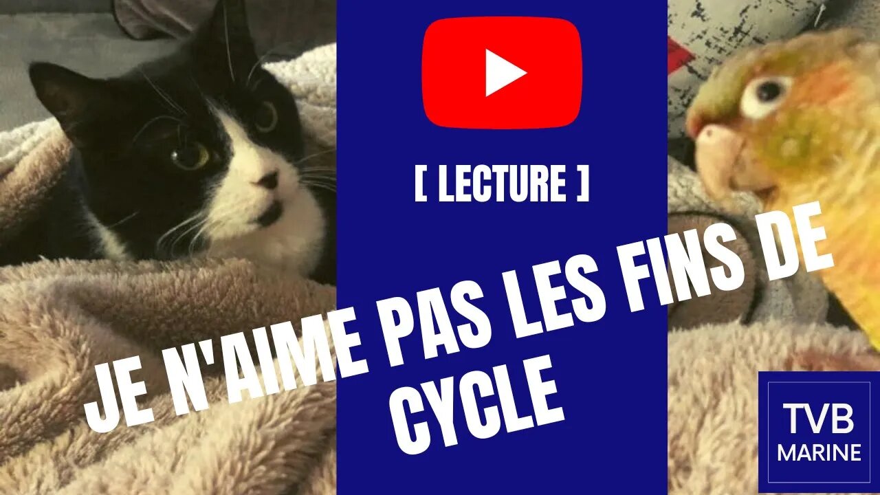 Billet d'humeur de décembre je n'aime pas les fins de cycle