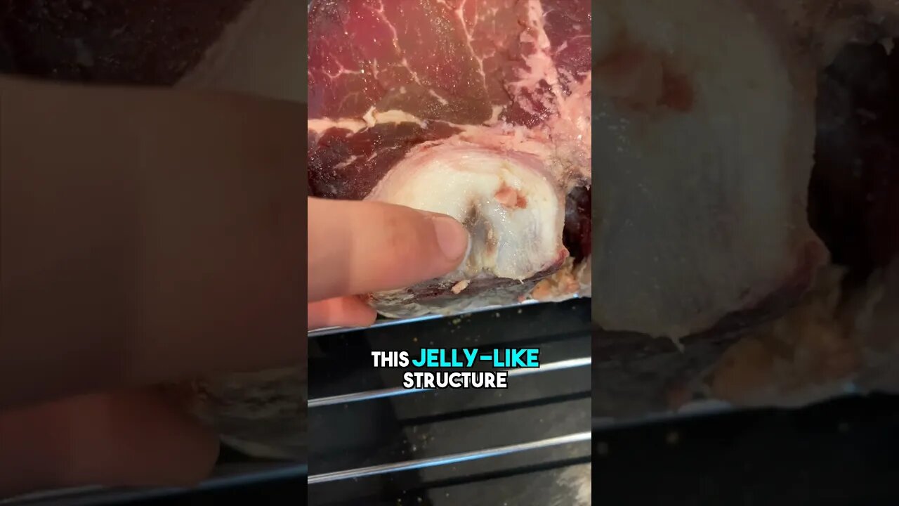 Disc Herniation Explained With a T -Bone Steak 🥩 #Shorts