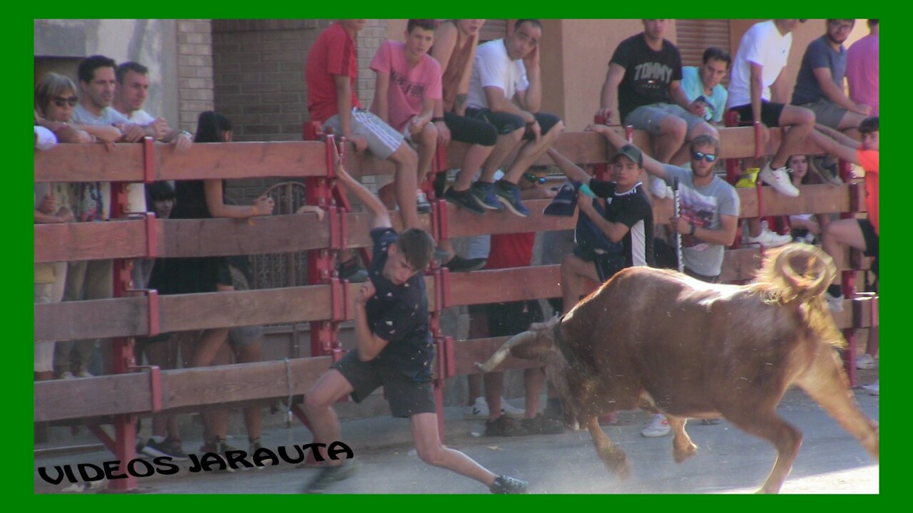 CABANILLAS ( NAVARRA ) TARDE VACAS CALLE ( DOMINGO 5 JUNIO 2022 ) EULOGIO