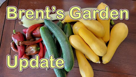 Lazy Garden Update [High Heat]