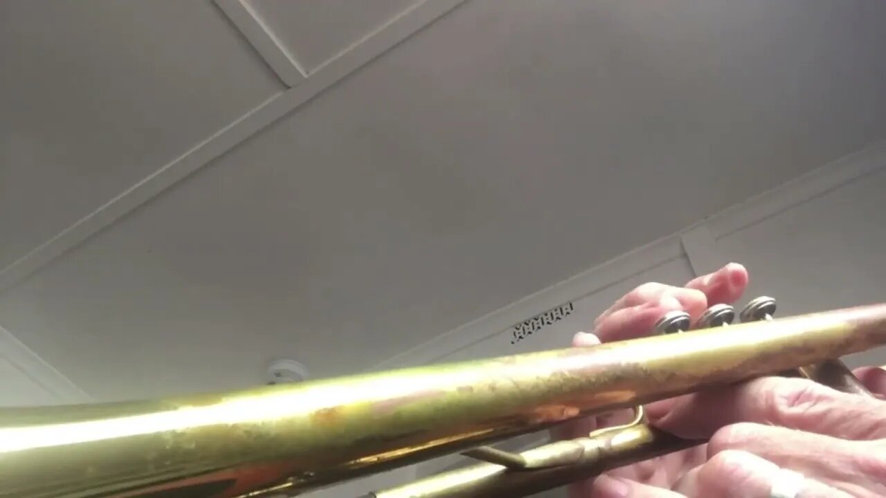 St Loius. A Dedekind Music trumpet Live Valve View video.