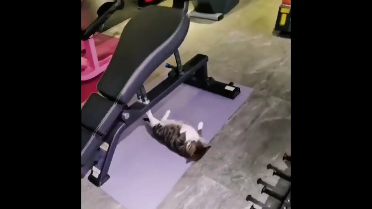 Morning Workout