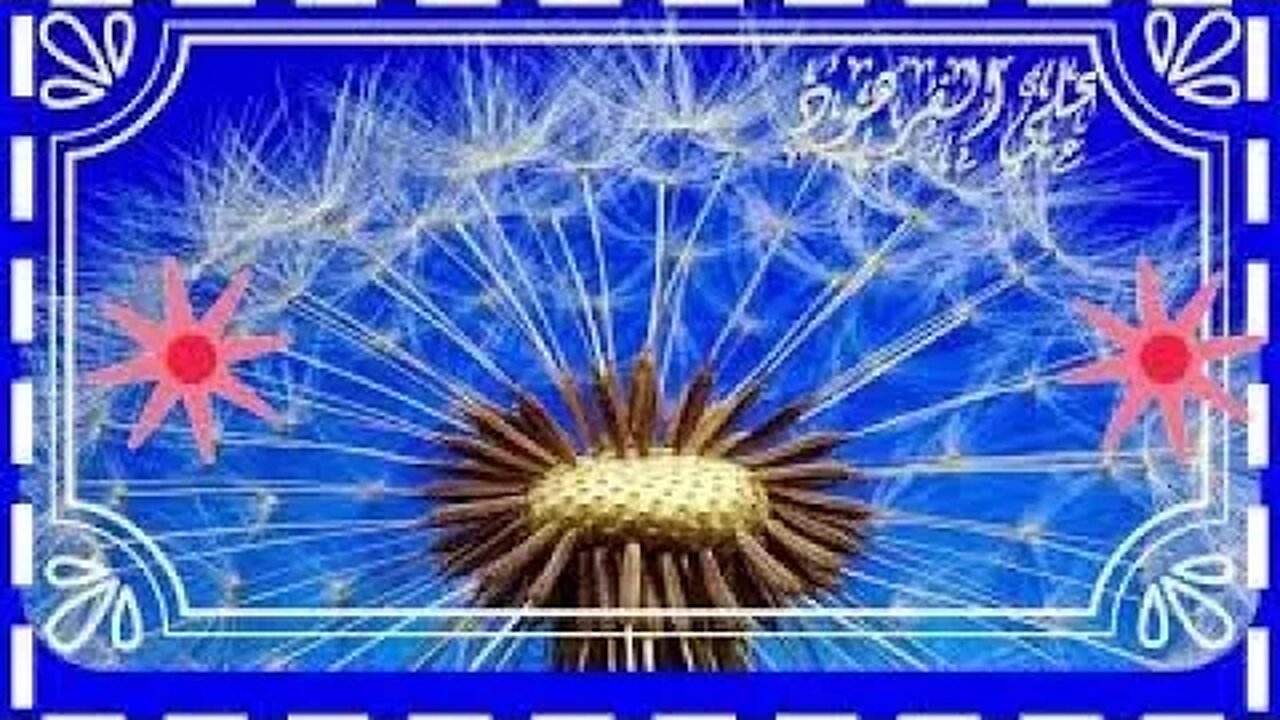 تلاوات اجمل تلاوة خاشعة@nsrm11