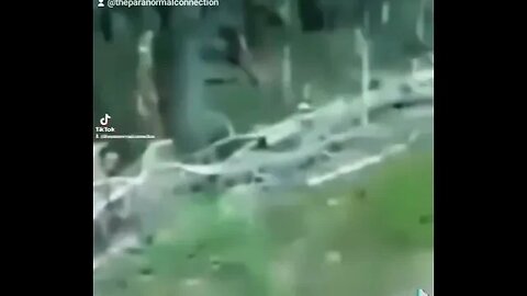 A Skinwalker caught on camera.