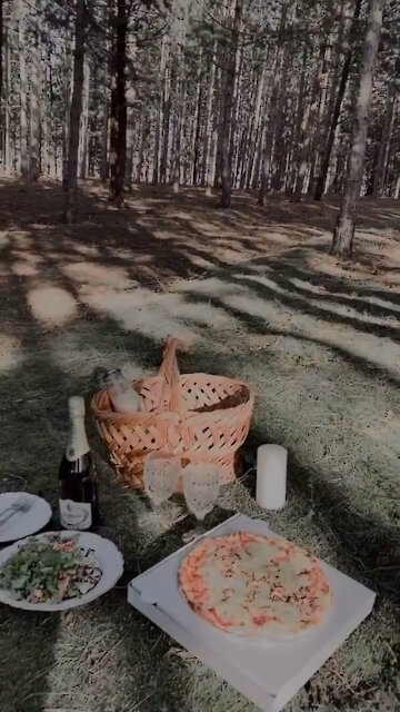 Picnic with my bestie.