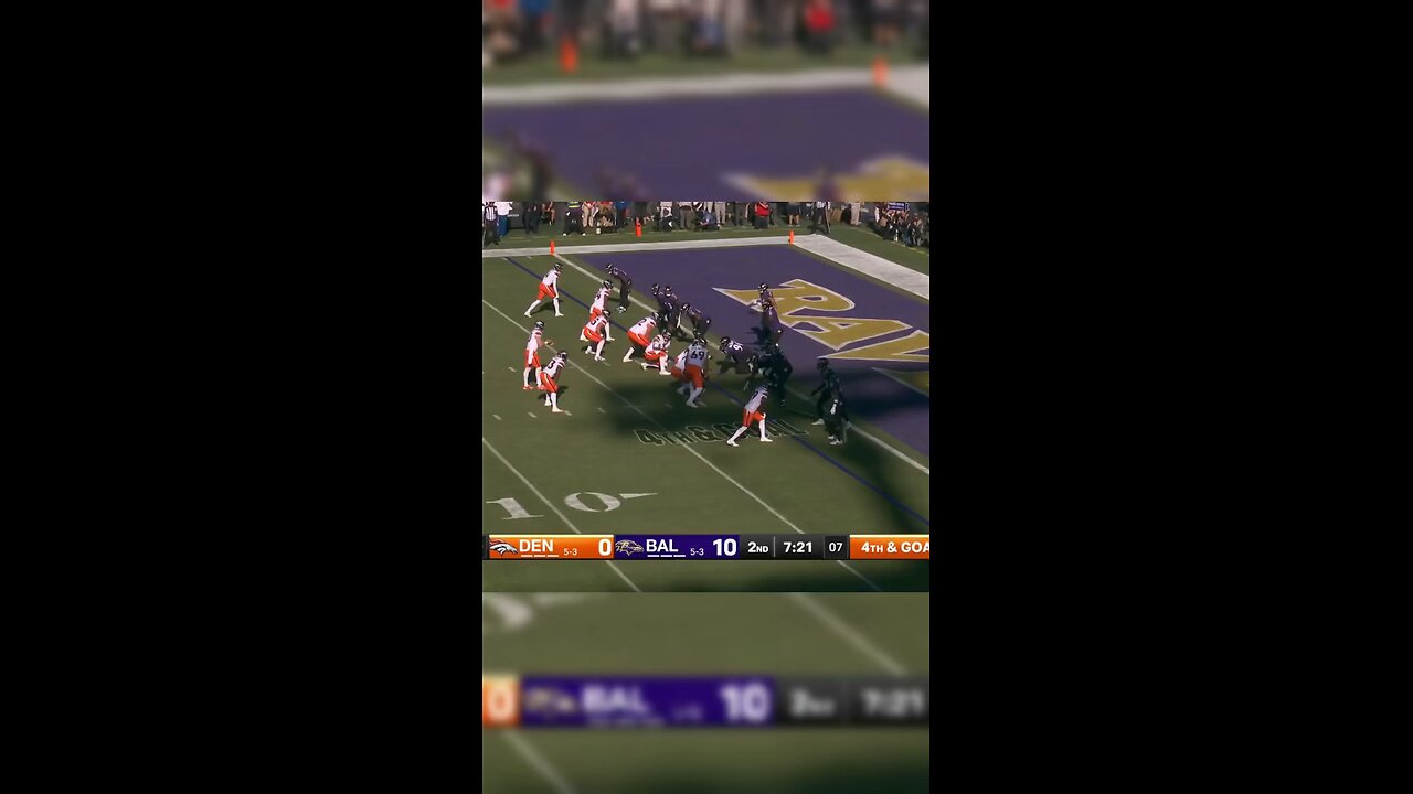 BO NIX TUDDY