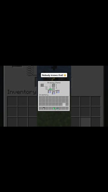 Minecraft / Майнкрафт #tiktok #Shorts