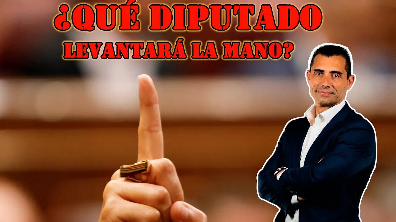 ¿Qué diputado levantará la mano en la ley de amnistía tras la sentencia del TC del 86?