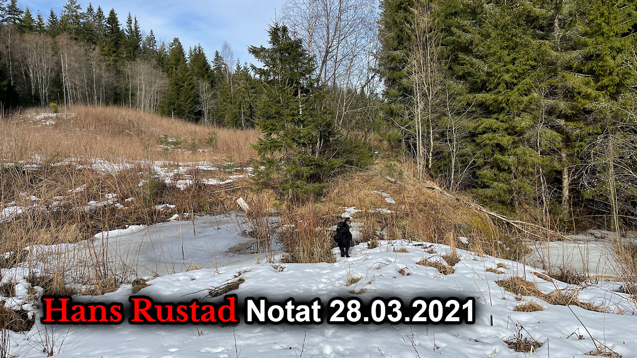 Hans Rustad notat 28.03.2021 Fra sans og samling