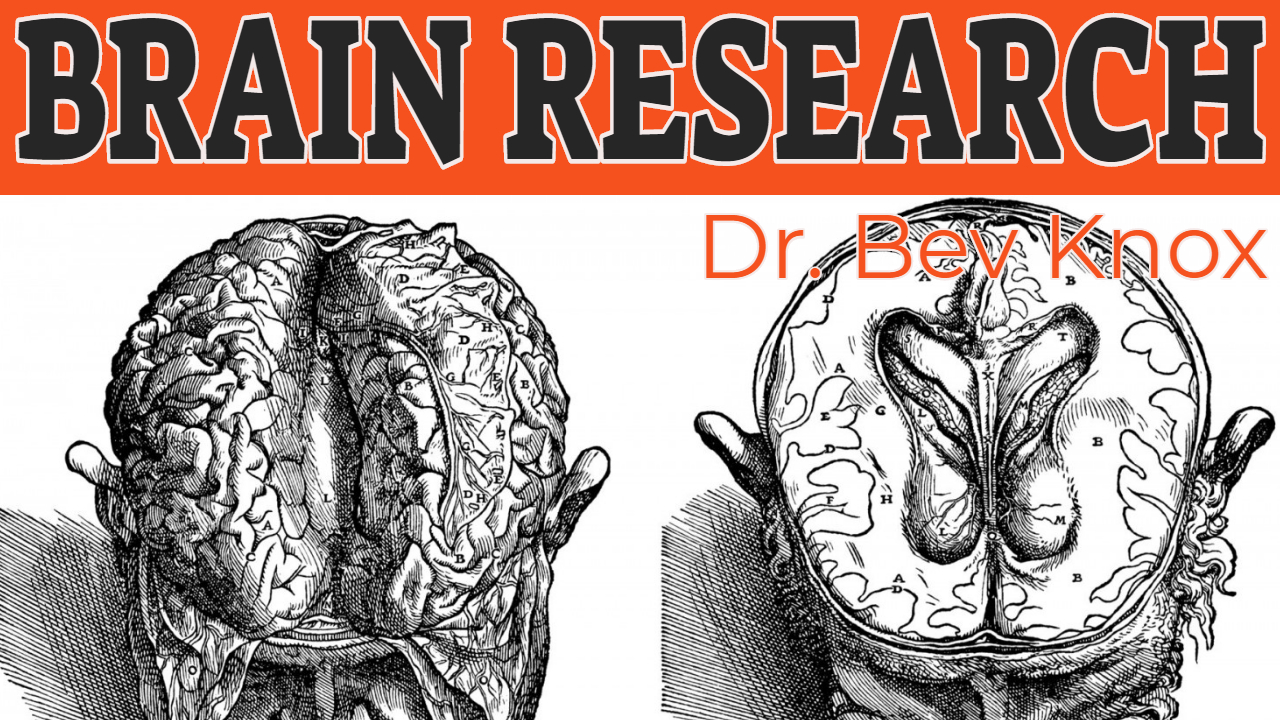 Brain Research - History of Psychology Series