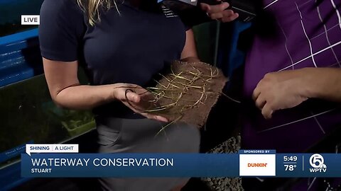 Burlap is helping to stabilize seagrass in the Indian River Lagoon