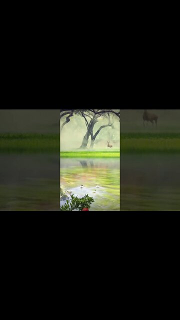 #nature🦌🦆