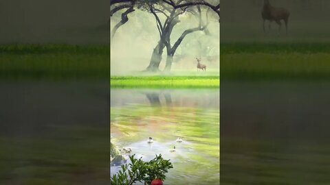 #nature🦌🦆