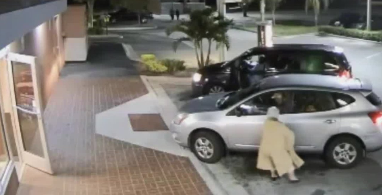 Elderly woman ran over by purse thief